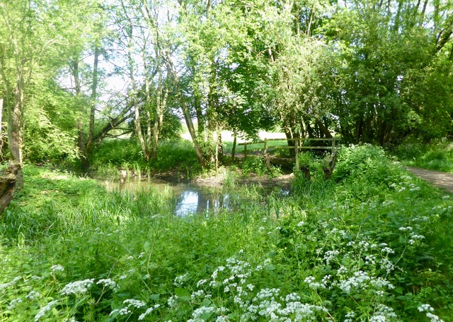 st marys pond